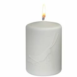 Null Osterkerze Stumpenkerze "Grashüpfer" Hellgrün 100 X Ø 70 Mm, Designerkerze Ostern, Frühling, Sommer